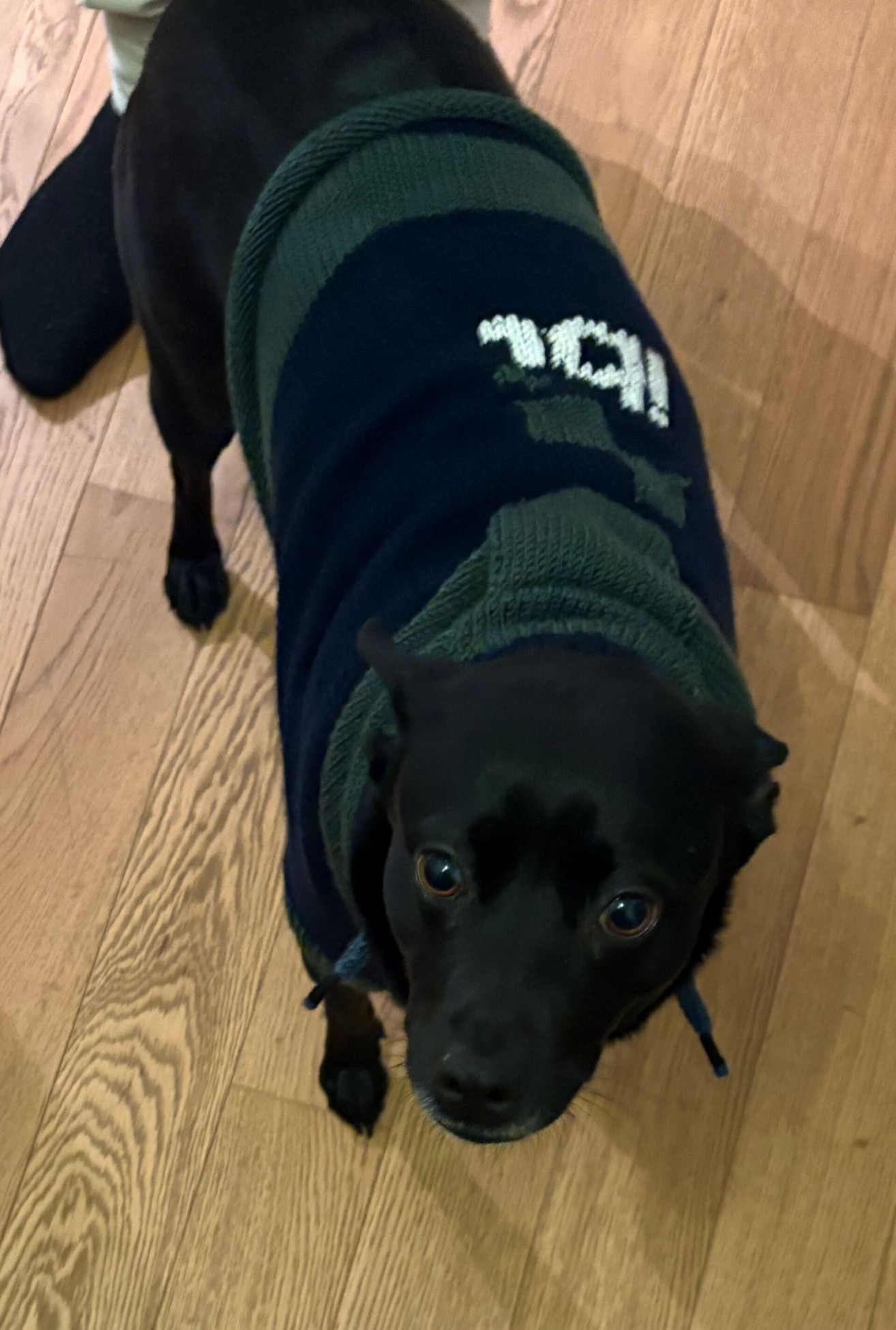 Anush Sridhar, M.Sc.